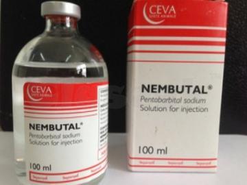 Reine Nembutal (Pentobarbital-Natrium)