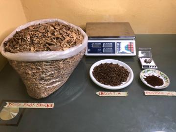 Iboga Wurzelrinde & Ibogaine