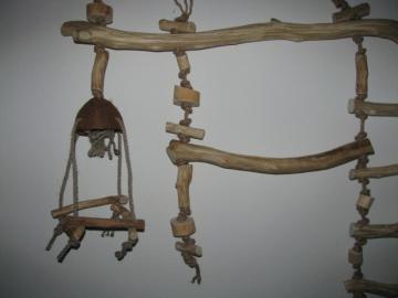 Zahnstange f�r Papageien  Luba