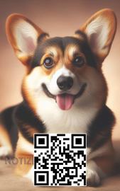 Hunde Buch Corgi Welpe Welpenbuch Lustig