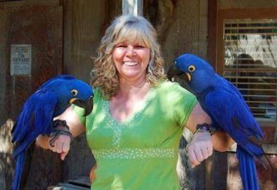Pretty Blue Hyacinth Macaw Papageien f�r