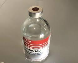 Nembutal pentobarbital Sodium