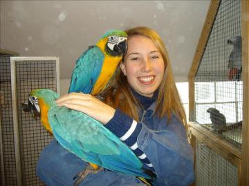 Gelbbrustara Baby superzahm