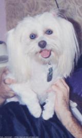 GESCHENK von meinem hund