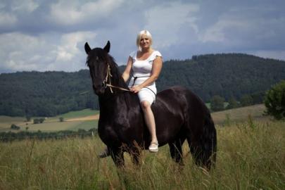 Friese, 8 j�hriger gro�er Wallach mit Pa