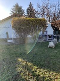 Grundst?ck mit Liegenschaft