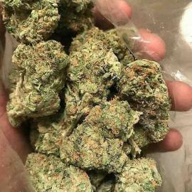 Top Feuer WhatsApp +30694 504 6892