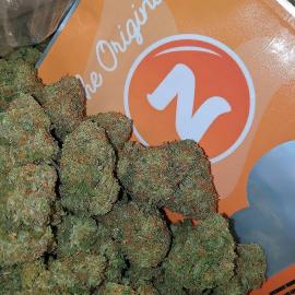 marijuana