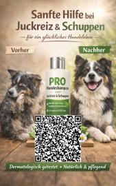 Hunde Buch Unn�tzes Wissen �ber Collies