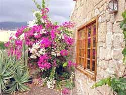 Landhaus Villa Isabelle auf Teneriffa