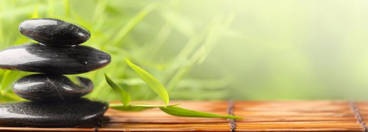 GESUNDHEITSVORTR�GE O�