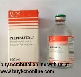Nembutal Pentobarbital online kaufen
