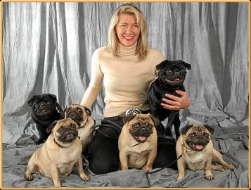 mops welpen mit pappers