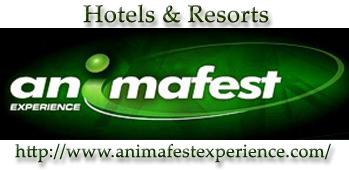 Animafest Experience