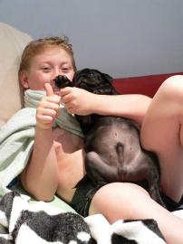 Champion mops welpen mit Stammbaum