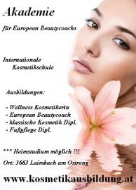 Dipl.  Wellnessausbildung - Heimstudium