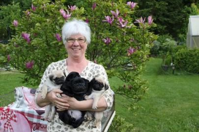 S��e Wundersch�ne Mops