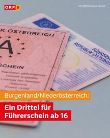 F�hrerschein, Aufenthalt & P�sse