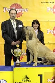 Fila Brasileiro Z�cht.  bietet Welpen an