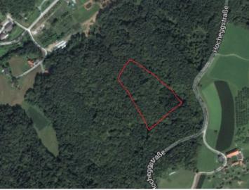Wald W�lder