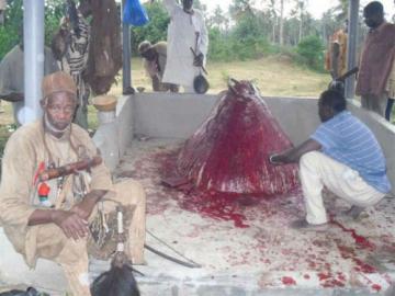 papa dah HEVIOSSO GRAND MARABOUT SORCIER