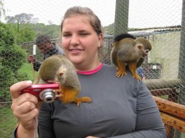 Adoptieren Sie einen Baby-Affen