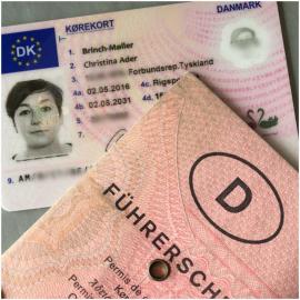 P�sse,F�hrerschein,Ausweis/Diplomaten
