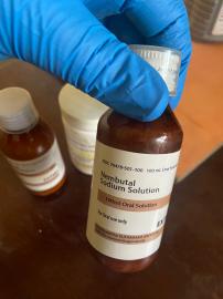 Kaufen Sie Euthasol online, kaufen Sie N