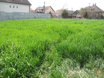 Baugrundst�ck Diakovce, SK