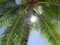 G�nstig: Reiseangebot. . . 