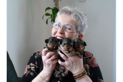 2 mini M�dels und ein normal grosser Jun