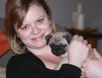 Mops Welpen