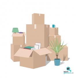 Sparen Sie bis zu 50% bei ihrem Umzug!
