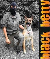 MALINOIS - Arbeitslinie