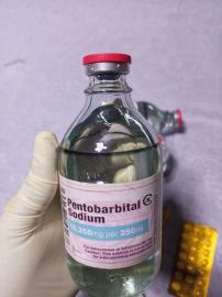 Nembutal online kaufen ?sterreich