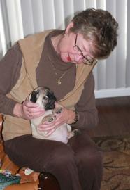 susse m�nnlich und weiblich Mops Welpen