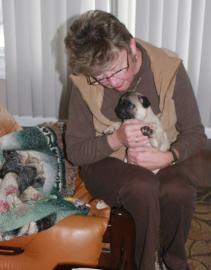 susse m�nnlich und weiblich Mops Welpen