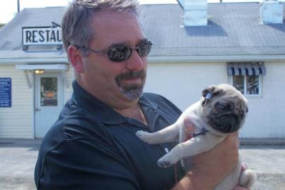 Mops Welpen (R�de und H�ndin)