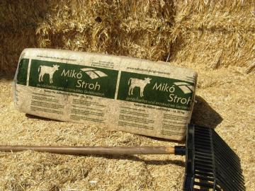 Gerstenstroh - geeignet f�r F�tterung