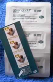 Stronghold f�r Hunde 43,90 Euro