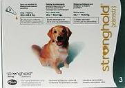 Stronghold f�r Hunde 43,90 Euro